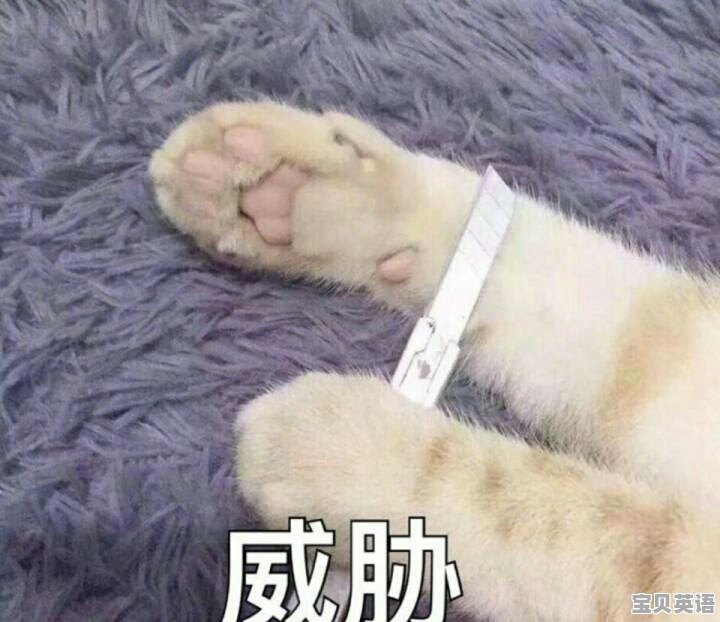 什么大学能进入中建八局 - 宝贝英语