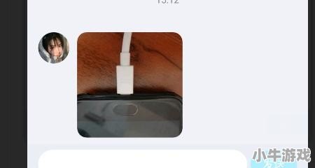 怎样把软件安装包下载到u盘上 - 小牛游戏