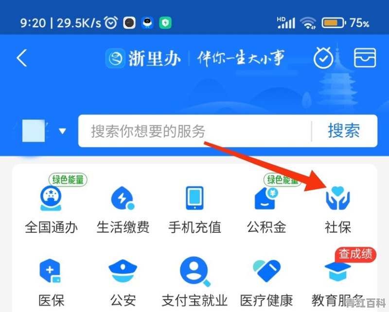 农村养老保险手机怎么交