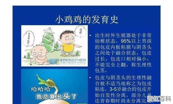 阴茎大小是多少