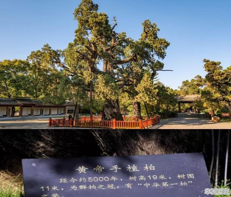 银川十大古庙 - 华夏历史