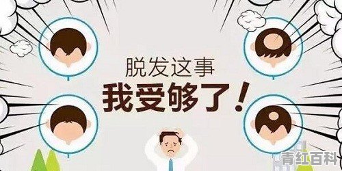 头发软又少，剪平头可以改善一下头发吗