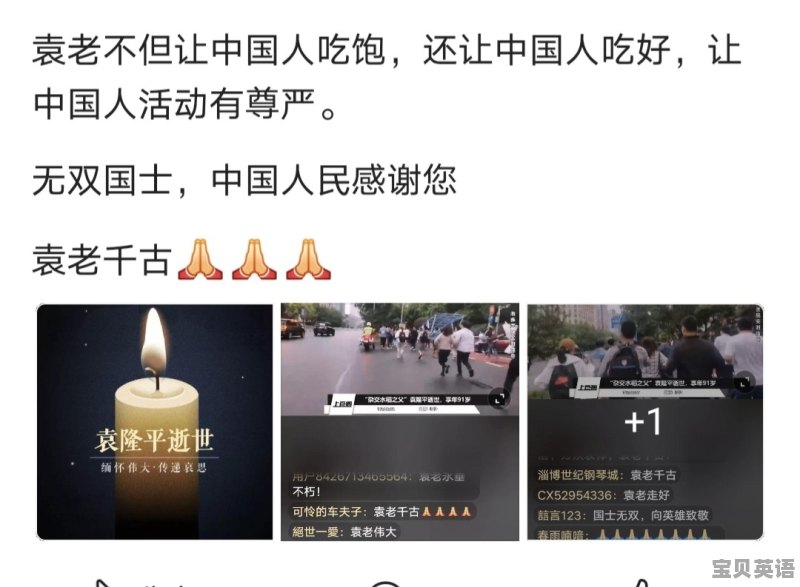 现在社会各界都在悼念袁隆平，为什么他会有这么高的声誉 - 宝贝英语