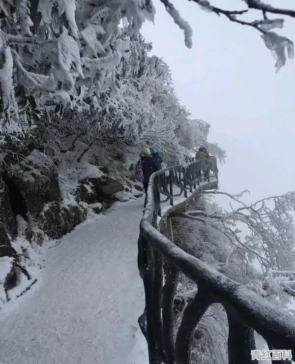 3月去哪里旅游合适