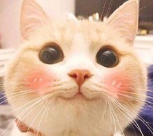 考雅思需要买什么书