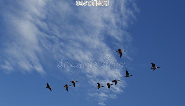 广州有什么好吃的