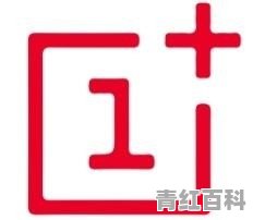 一加是杂牌子吗