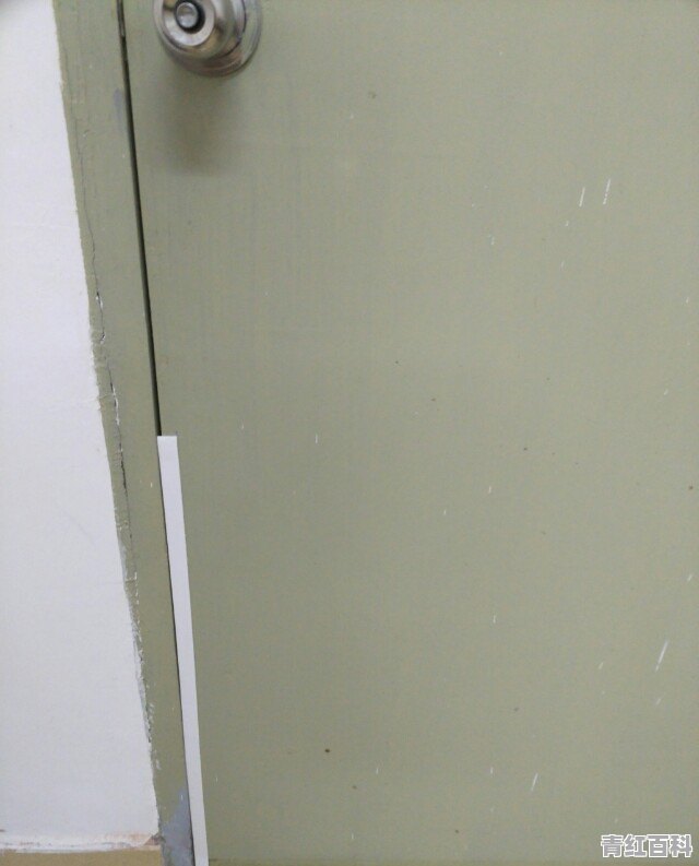 家里很多蚊子怎么办视频