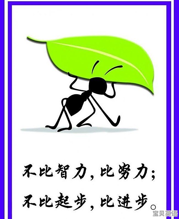 大专过六级有多厉害 - 宝贝英语