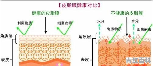 为什么有的女性面部皮肤在遇冷或遇热的环境易出现潮红而且发烫？应该如何预防