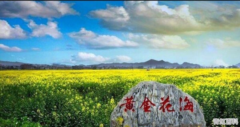 达州好钓鱼的地方越来越少了 水质好、鲫鱼鲤鱼大而多的野场几乎找不到了 请钓友分享一下好的钓点