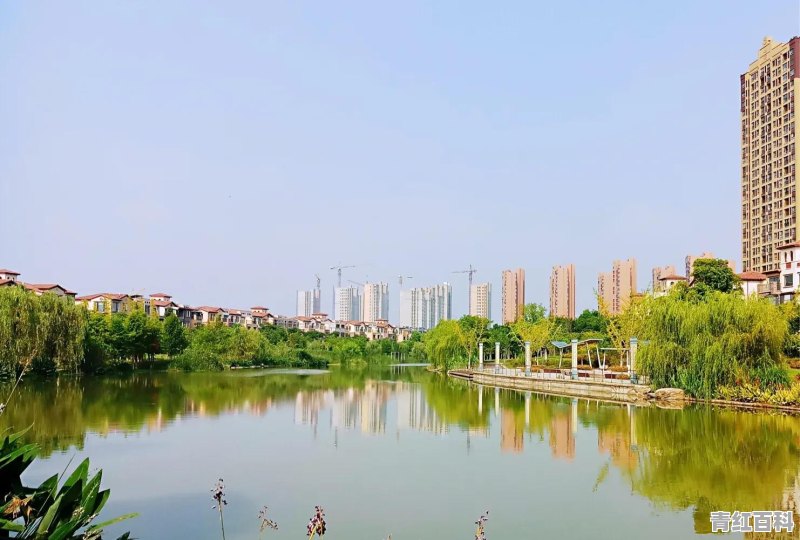 你每年会至少带父母出去旅游一次吗