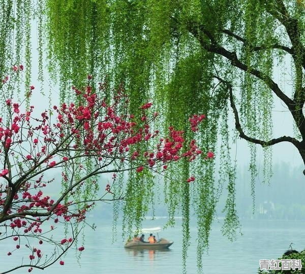嫁我网怎么样