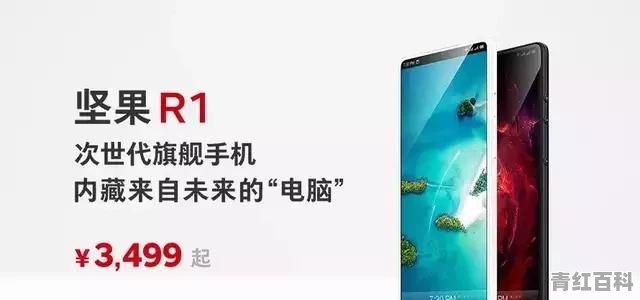 坚果r1使用一年后感受