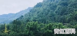 都江堰玉堂游玩攻略