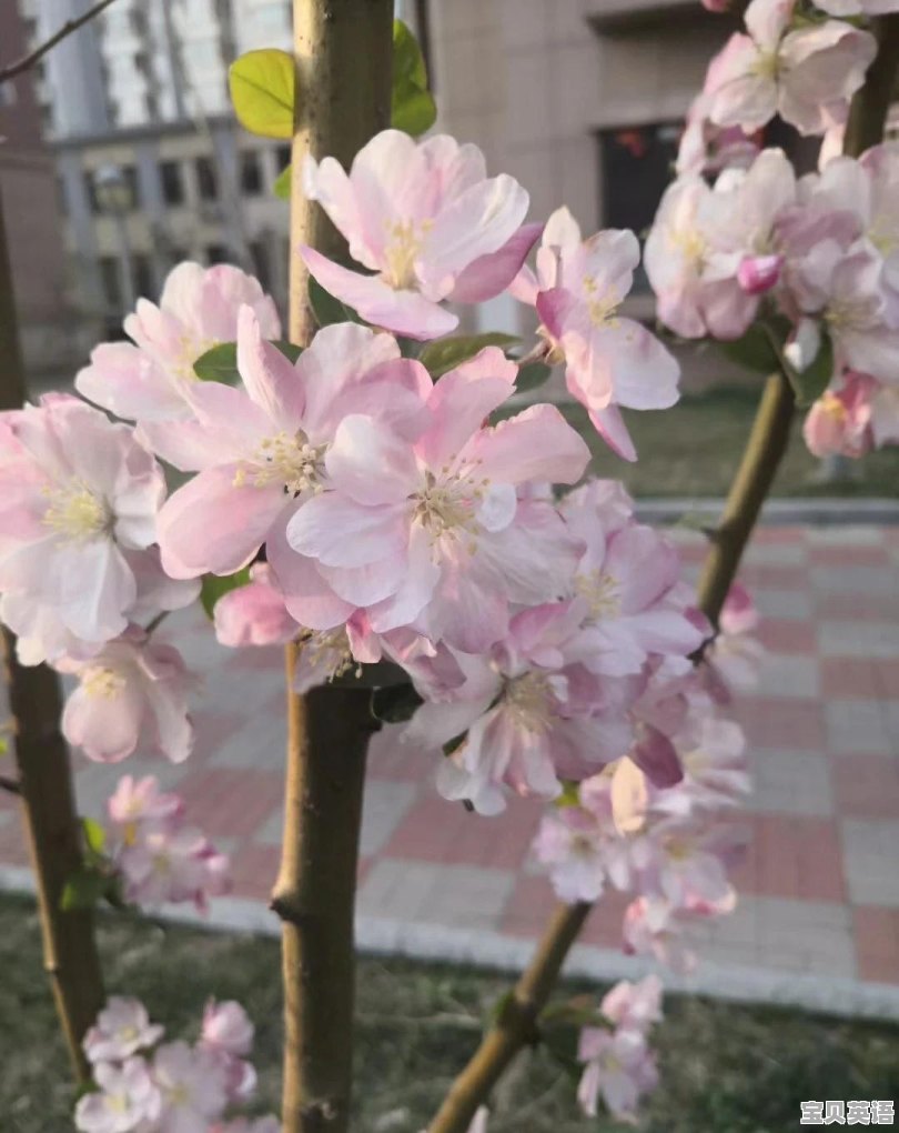 中学的英语考试是否真的能反映一个人的真实英语水平和综合能力 - 宝贝英语