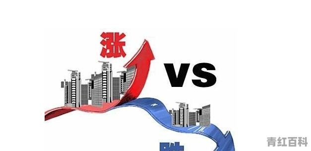 大武口新能源汽车销量排名榜