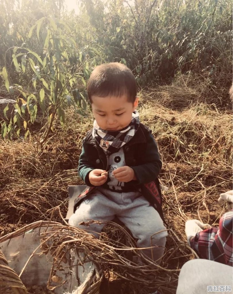 小孩皮肤瘙痒用什么药膏好？可以推荐一些没伤害的药膏吗