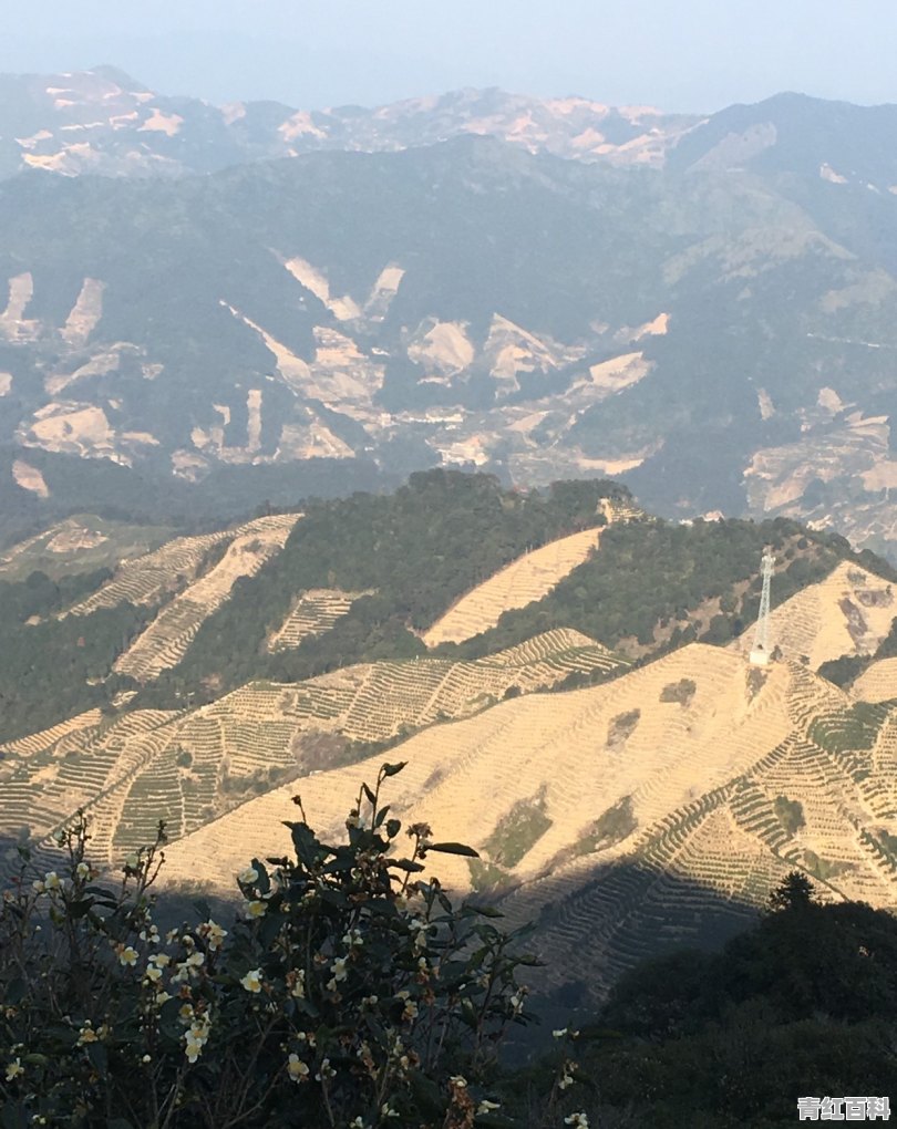 想自己去潮州玩，有什么可以推荐的吗？晚上的时候会有危险吗，毕竟是自己去