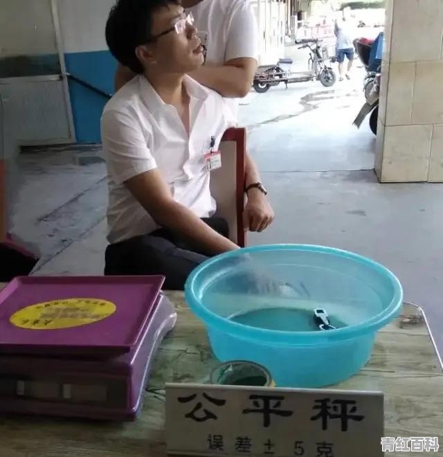 郫都红光美食推荐店在哪里啊多少钱一个