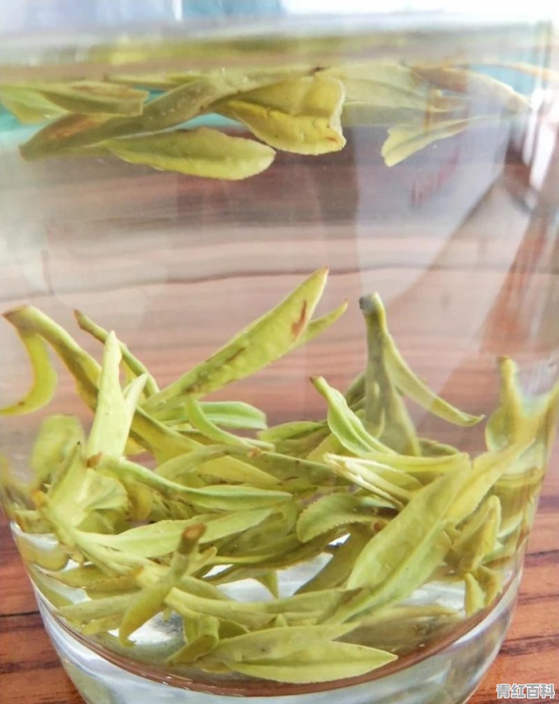 这次疫情对信阳毛尖的采摘影响大不大，今年茶叶会大涨吗