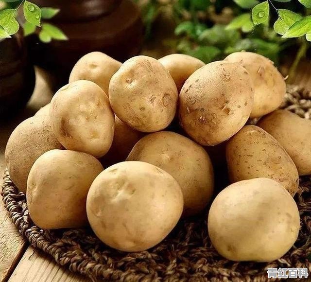 美食推荐菜谱做法大全