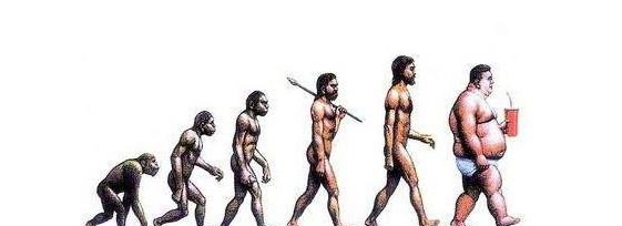 如果达尔文的进化论是正确的 人类最后会进化成什么模样