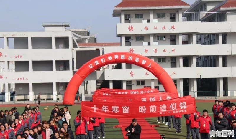 老板欠我工资4个月了 至今没给 找他多次了都没用。该怎么办