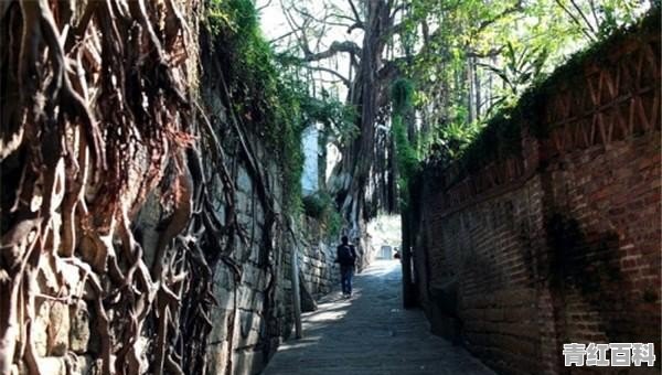 厦门的旅游景点有哪些景点简介