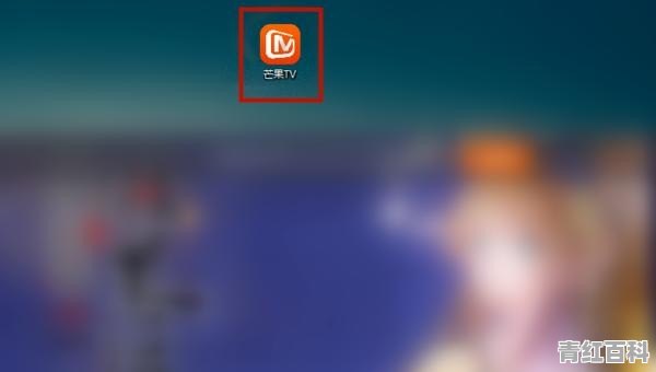 电脑版芒果tv会自己退出