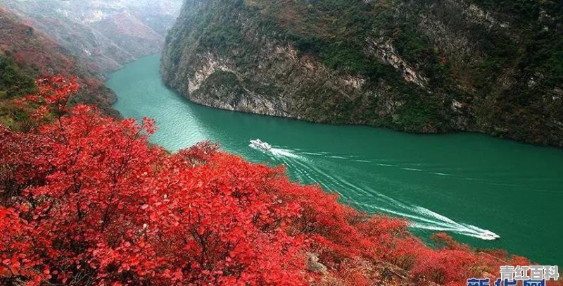 万州三峡旅游船路线图