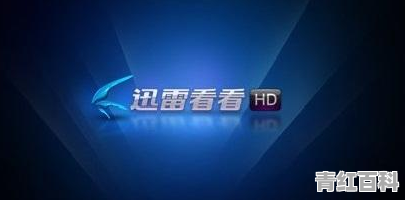 手机迅雷影音下载安装