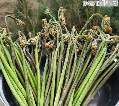 生鲜加盟店排行榜前十品牌有哪些
