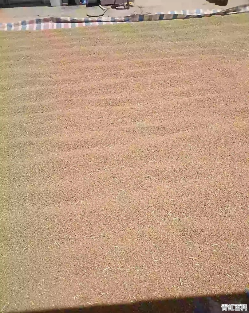蚌埠天元汽车销量怎么样啊