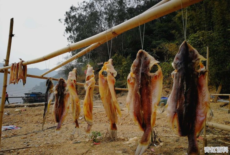 附近美食推荐地点有哪些地方好吃的菜馆