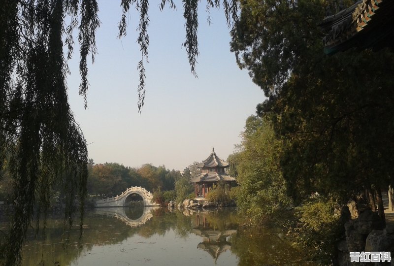 老年人旅游去哪里好玩