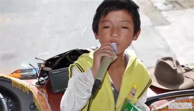 2个人自驾去西藏要多少费用