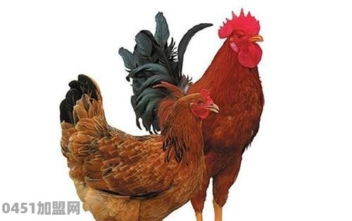 亳州那个饭店最好吃