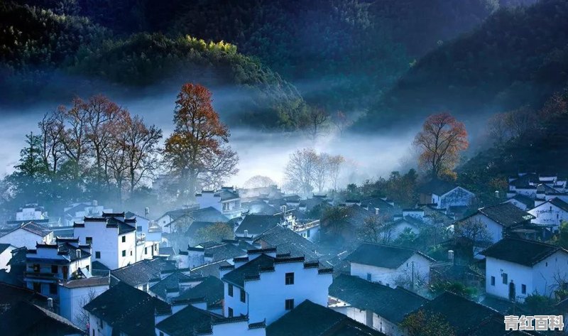 11月小众节日