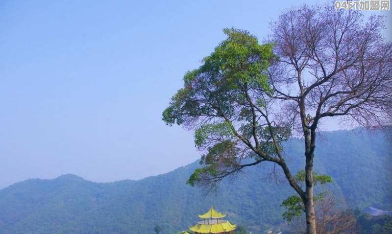 加盟鲜芋仙费用大概多少