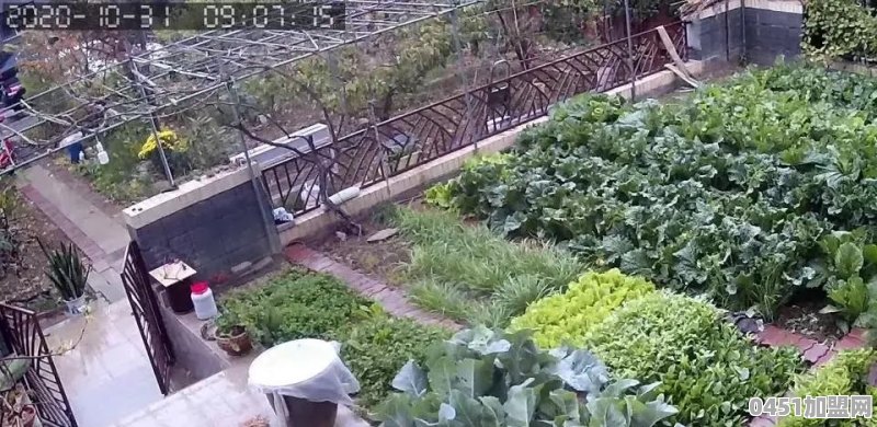 桃源海鲜美食店怎么样加盟的