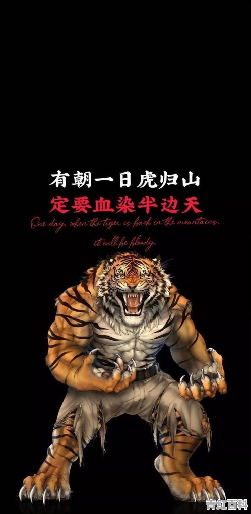 手机维修学徒招聘信息