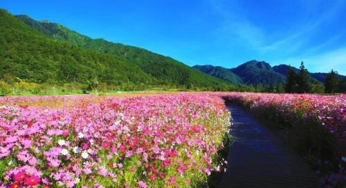 更年期提前怎么回事