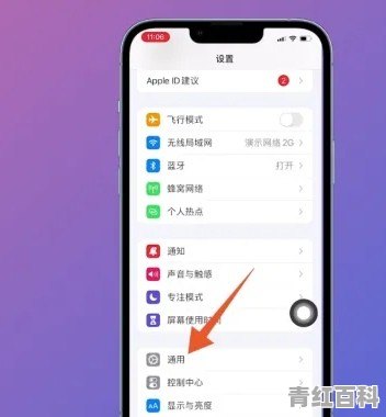 苹果手机怎么格式化