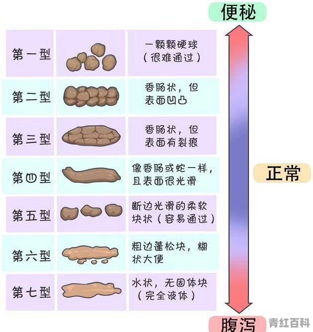 连续多少天不排便算是便秘啊？吃哪种食物可以润肠通便