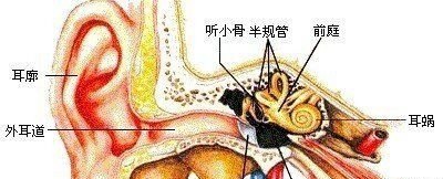 耳朵发炎脸肿了是怎么回事