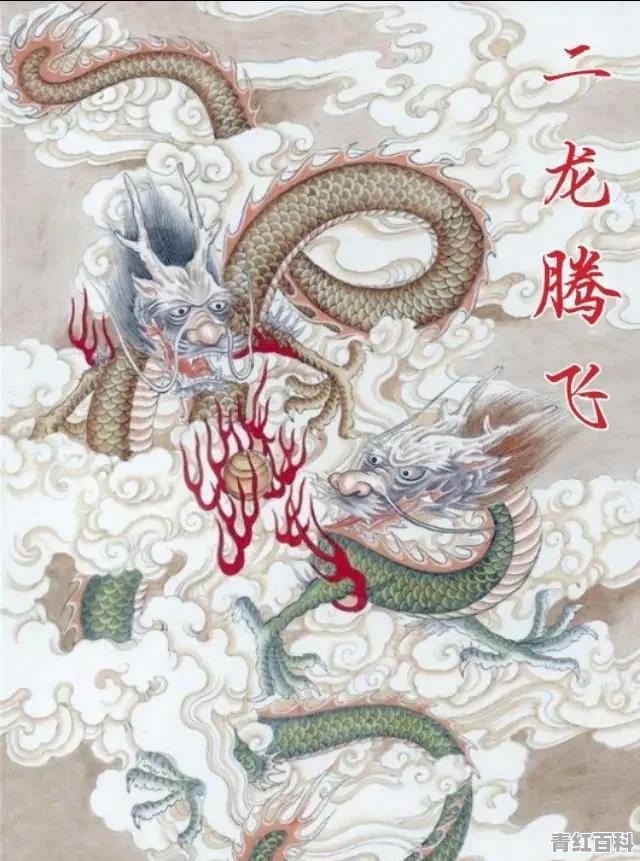 晚上睡觉多梦有什么办法解决