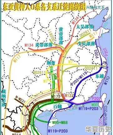 外国人最感兴趣的中国历史 - 华夏历史