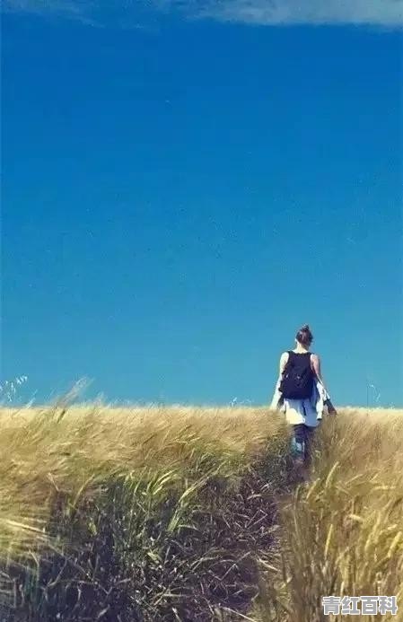 暑假去旅游 两个女生一起 希望去不是太热的地方 有推荐吗