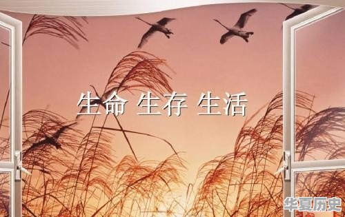 家族历史文化 - 华夏历史